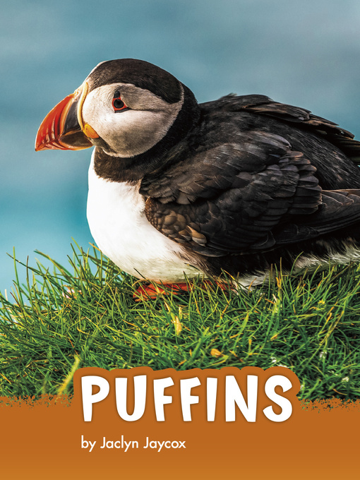 Title details for Puffins by Jaclyn Jaycox - Available